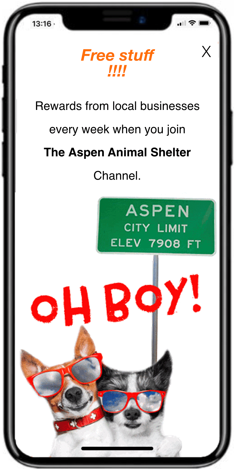 aspen-dogs-page.gif